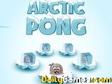 Arctic pong